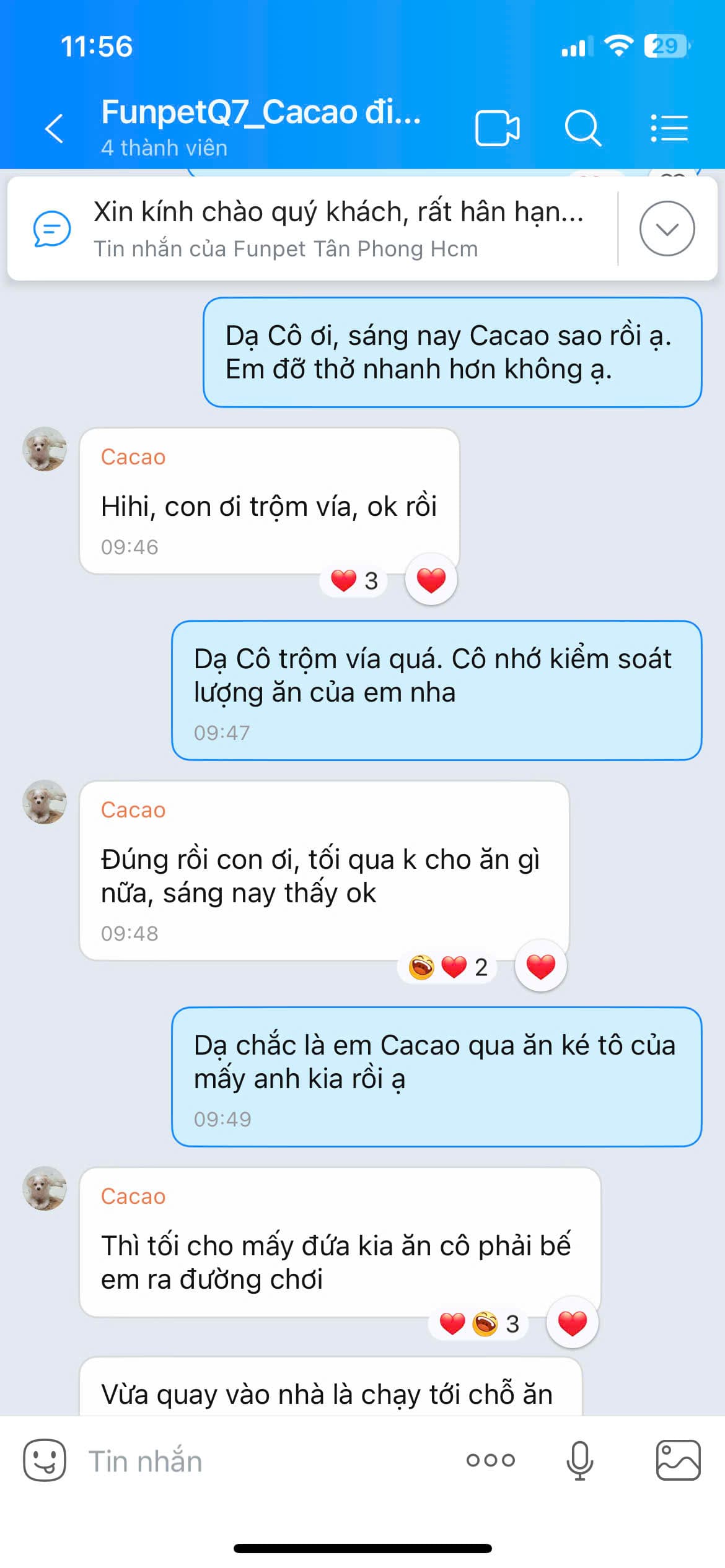Vàng