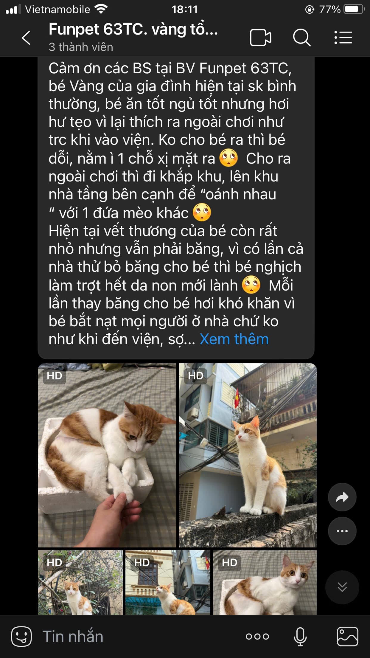 Vàng