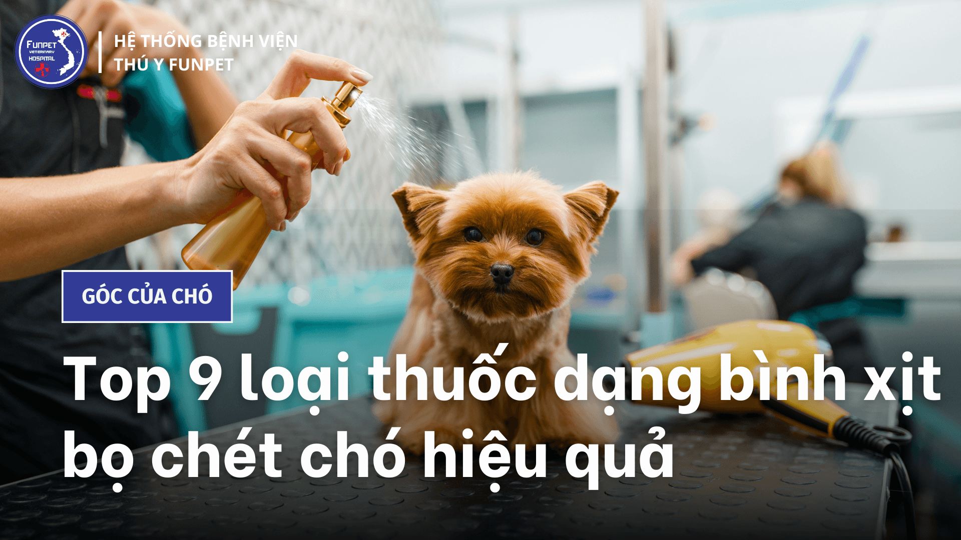 Tổng hợp 9 loại thuốc dạng bình xịt bọ chét chó hiệu quả