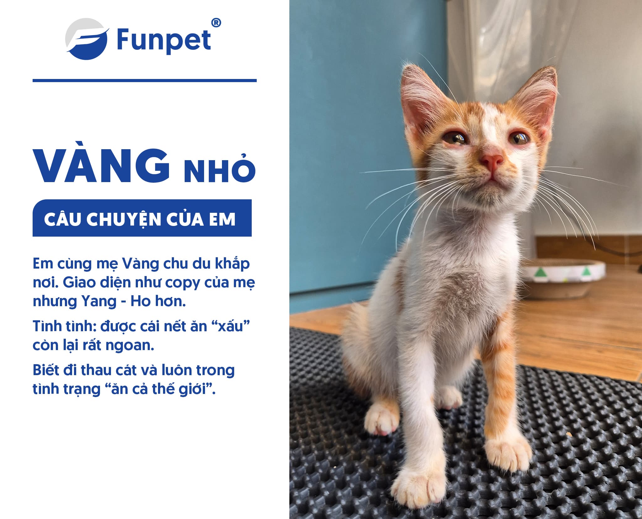 Vàng nho