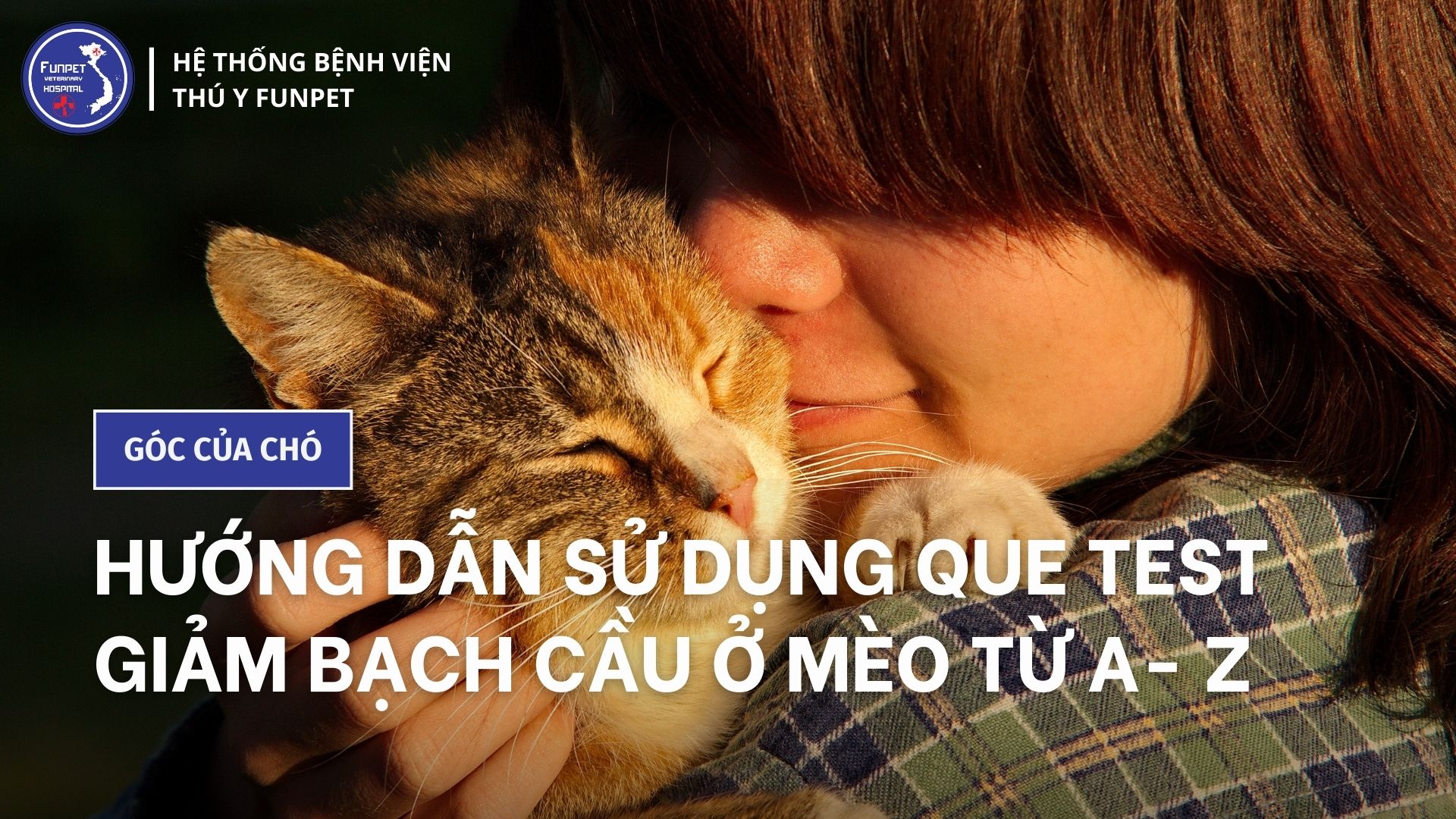 Cách test giảm bạch cầu ở mèo: Hướng dẫn chi tiết và hiệu quả